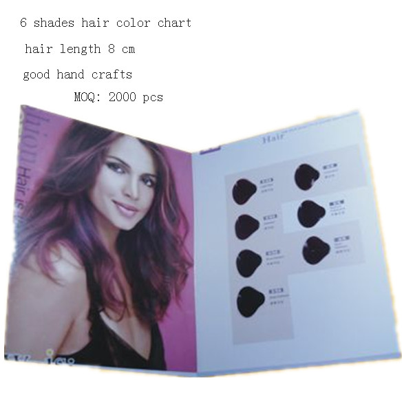 6 swatches hair color catalogue